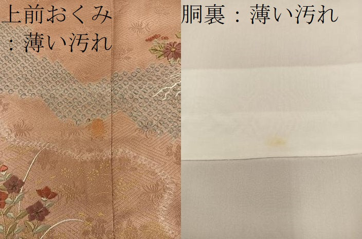 平和屋着物■訪問着 刺繍 流水花文 金彩 正絹 逸品 BAAY0950mz