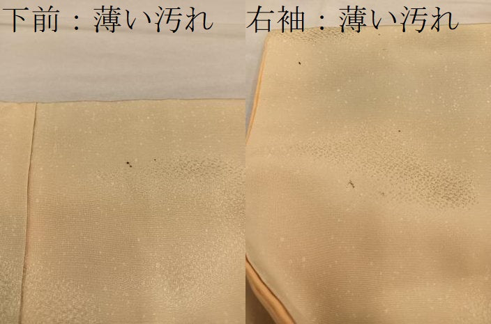 平和屋着物■訪問着 枝葉文 正絹 逸品 BAAY0972mz