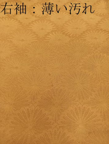 平和屋着物■訪問着 総刺繍 ドロンワーク 松皮菱花文 銀糸 正絹 逸品 BAAY0976mz