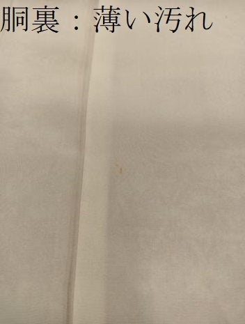 平和屋着物■上質な小紋 菊花文 金彩 正絹 逸品 BAAY0978mz