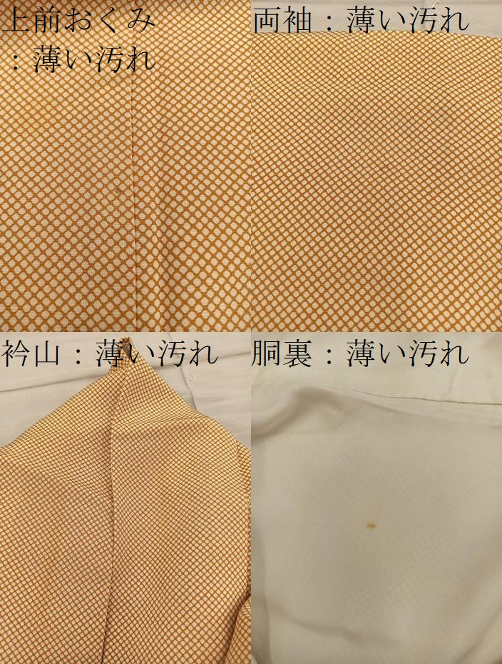 平和屋着物■江戸小紋 行儀 正絹 逸品 BAAY1001mz