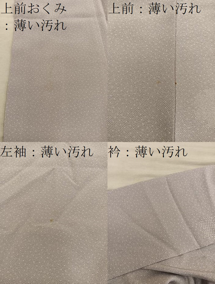 平和屋着物■江戸小紋 鮫小紋柄 ますいわ屋扱い 正絹 逸品 BAAY1138mz