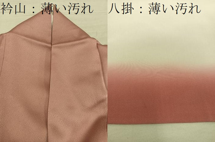 平和屋着物■訪問着 総刺繍 スワトウ刺繍 花車文 暈し染め 正絹 逸品 BAAY1159mz