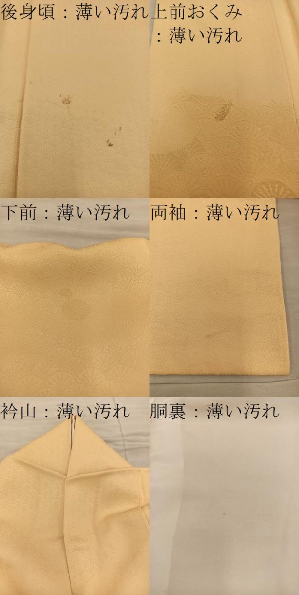 平和屋着物■色留訪問着 青海波地紋 暈し染め 正絹 逸品 BAAY1165mz