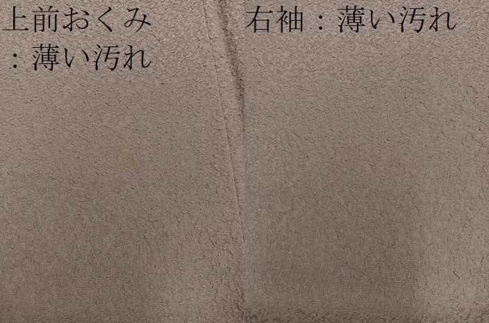 平和屋着物■上質な色無地 紋意匠 煎茶色 正絹 逸品 BAAY1187mz