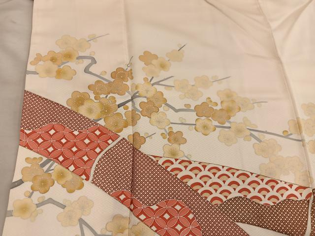 平和屋着物■色留訪問着 青海波枝梅文 正絹 逸品 BAAY1223mz