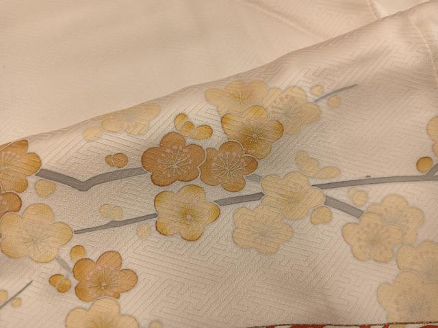 平和屋着物■色留訪問着 青海波枝梅文 正絹 逸品 BAAY1223mz
