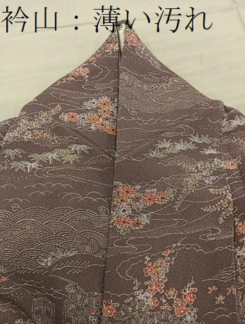 平和屋着物■上質な小紋 風景花文 鬼しぼ縮緬 正絹 逸品 BAAY1261mz