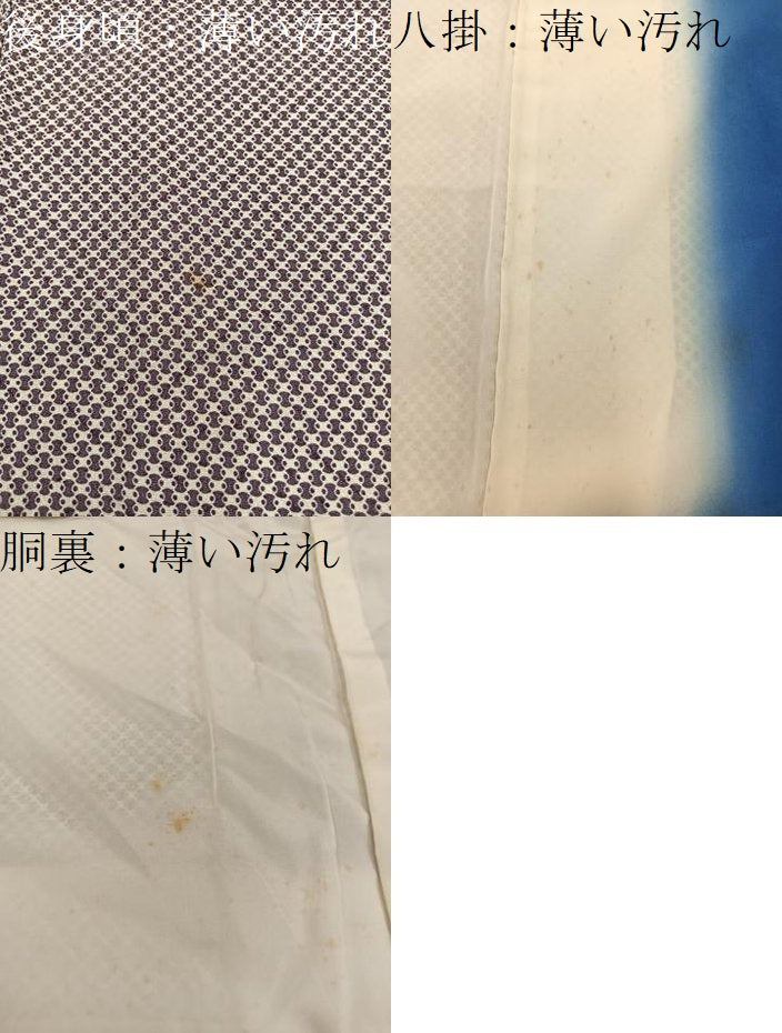 平和屋着物■江戸小紋 幾何学文様 暈し染め 正絹 逸品 BAAY1271mz