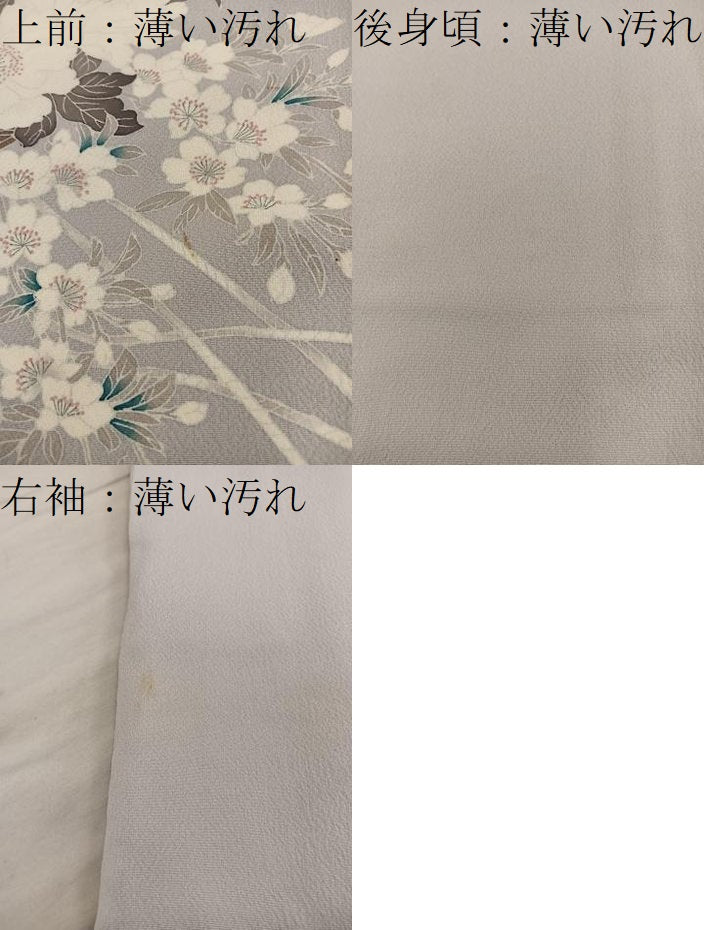 平和屋着物■訪問着 友禅 草花文 正絹 逸品 BAAY1306mz