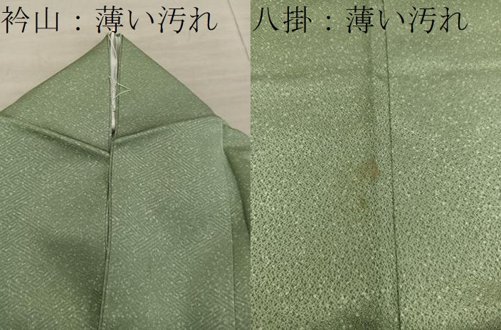 平和屋着物■色留訪問着 御所車飛鶴地紋 正絹 逸品 BAAY1342mz