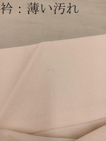 平和屋着物■訪問着 刺繍 青海波菊花文 正絹 逸品 BAAY1615mz