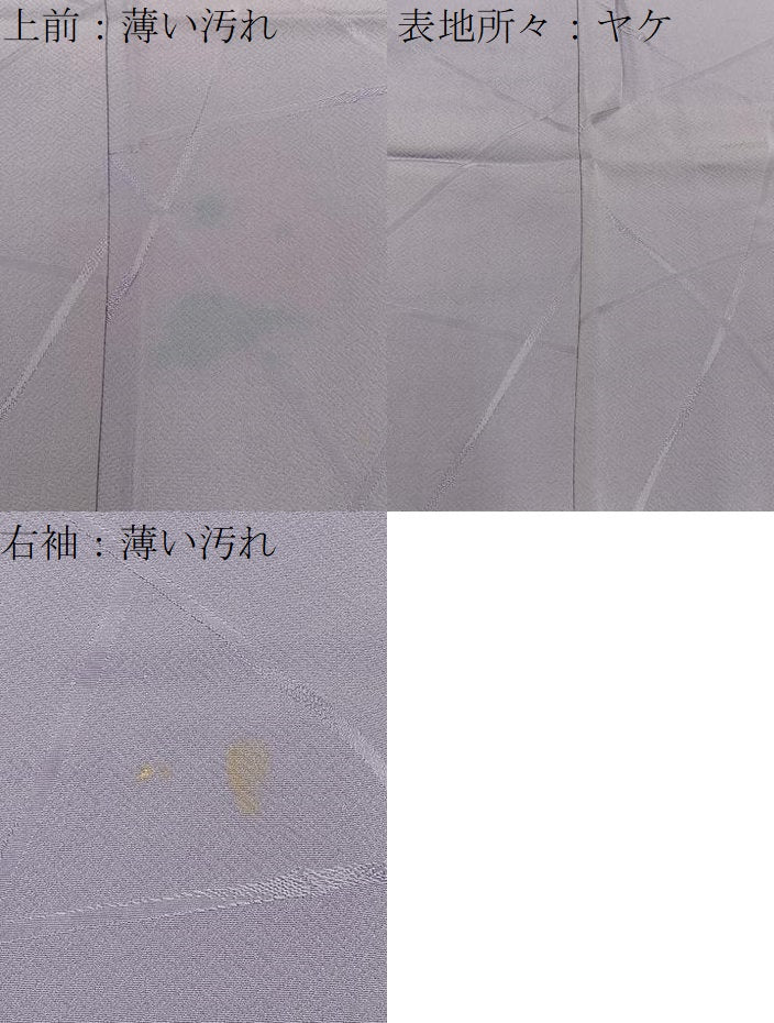 平和屋着物■上質な色無地 竹垣地紋 牡丹鼠色 正絹 逸品 BAAY3065hj