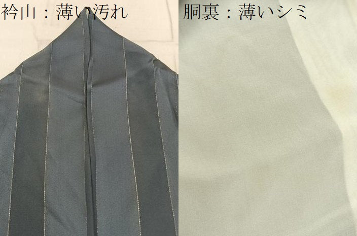平和屋着物■訪問着 刺繍 宝尽くし 金彩 銀糸 正絹 逸品 BAAY3136hj