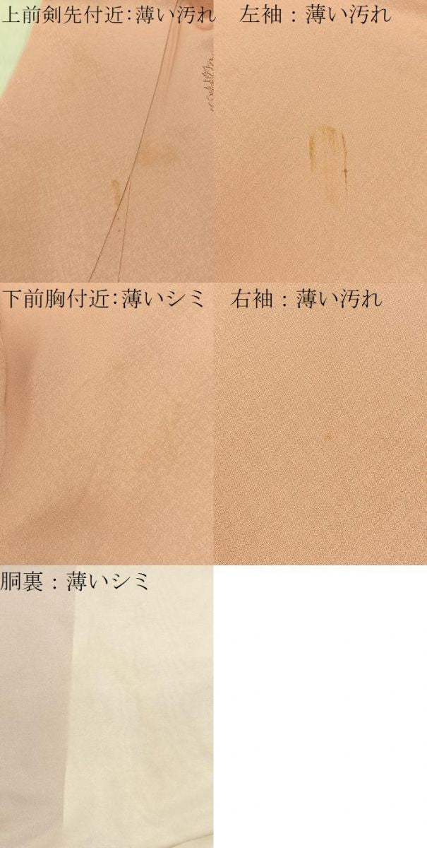 平和屋着物■中国三大刺繍 総相良刺繍 無地絵羽訪問着 花鳥文 虹色 正絹 逸品 BAAY3153hj