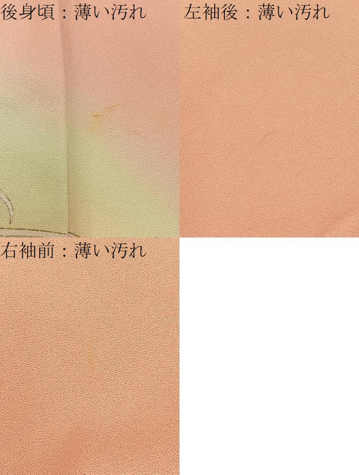 平和屋着物■訪問着 短冊草花文 暈し染め 金銀彩 正絹 逸品 BAAY3253hj