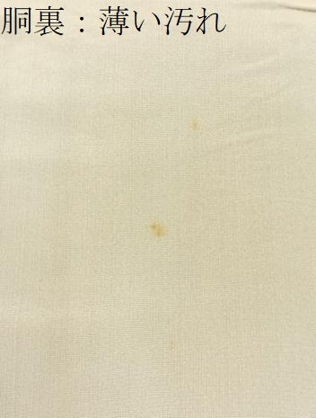 平和屋着物■上質な小紋 型染め 草花文 鬼しぼ縮緬 ロング丈 正絹 逸品 BAAY3256hj