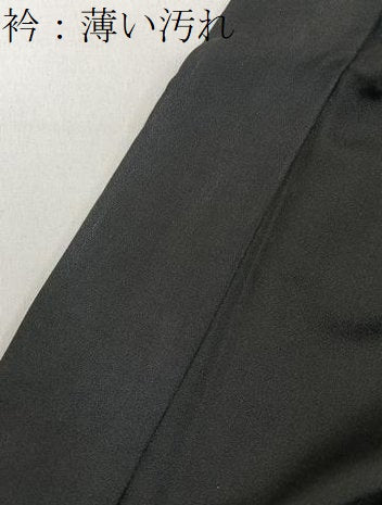 平和屋着物■男性 お召 黒色 正絹 逸品 BAAY3539hj