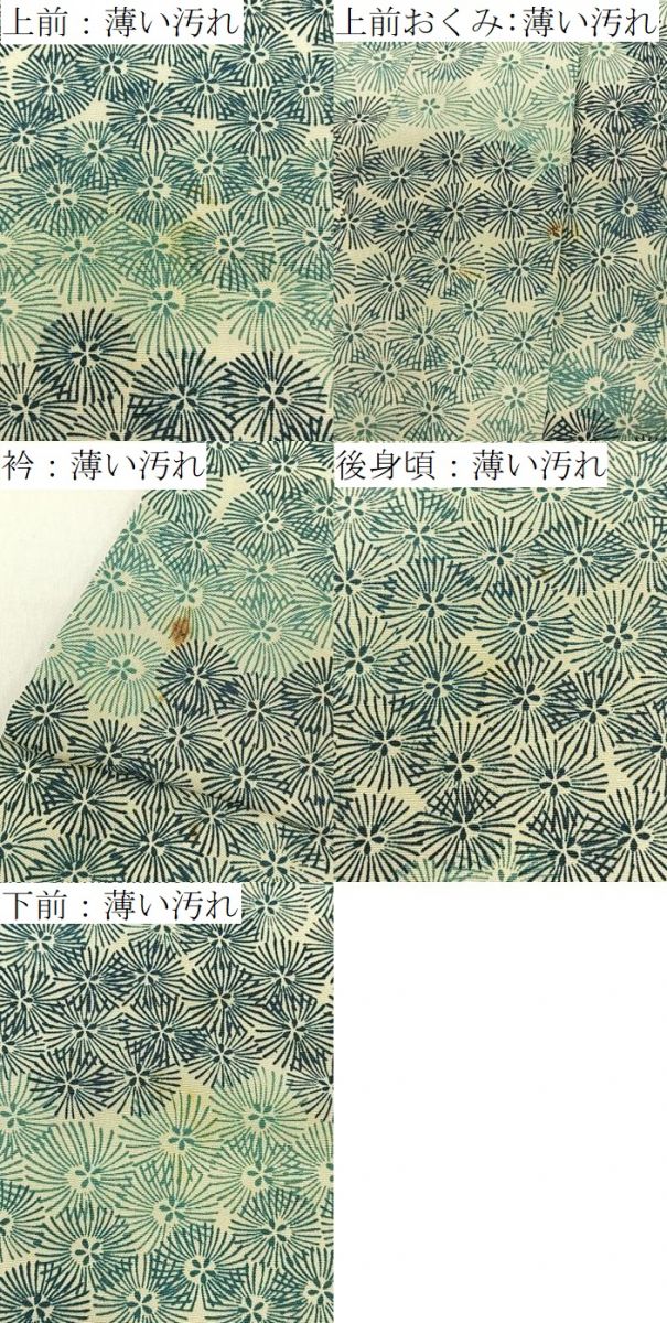 平和屋着物■上質な小紋 花尽くし 正絹 逸品 BAAY3557hj