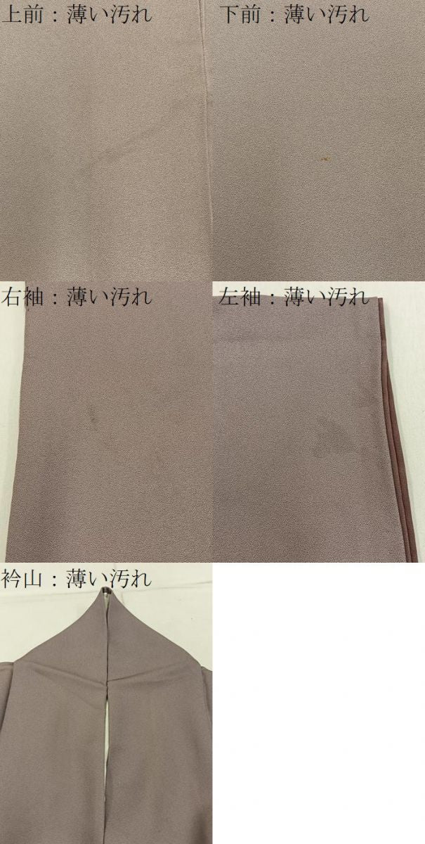 平和屋着物■訪問着 清水寺 暈し染め 金彩 正絹 逸品 BAAY3567hj