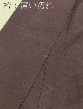 平和屋着物■上質な紬 色無地 古代紫色 正絹 逸品 BAAY3726hj