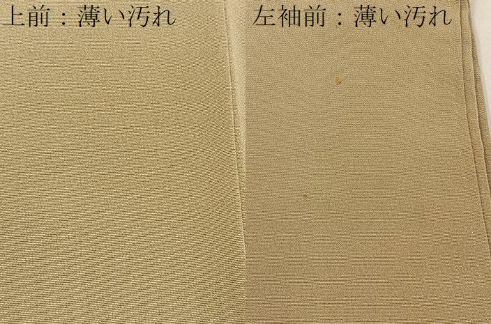 平和屋着物■豪華色留袖 鴛鴦花文 金彩 正絹 逸品 BAAY3787hj