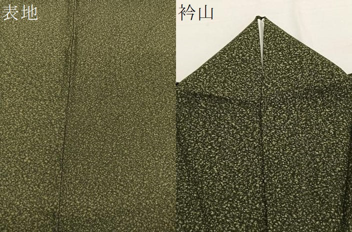平和屋着物*夏物 小紋 紗綾形紋紗 霞文 京都きもの友禅扱い BAAY4179hv