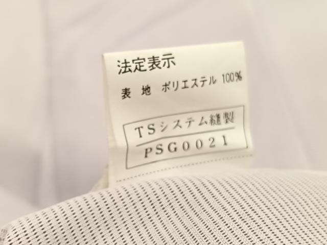 平和屋着物*夏物 訪問着 絽 草花文 暈し染め 銀彩 洗える着物 BAAY4310hv