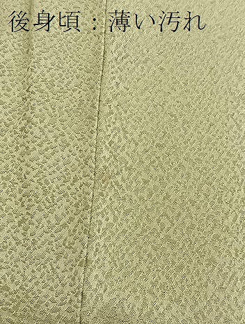 平和屋着物■訪問着 手描き 風景樹林文 金彩 正絹 逸品 BAAY5408yc