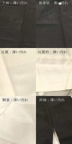 平和屋着物■豪華黒留袖 作家物 風景花鳥文 暈し染め 金銀彩 正絹 逸品 BAAY5472yc