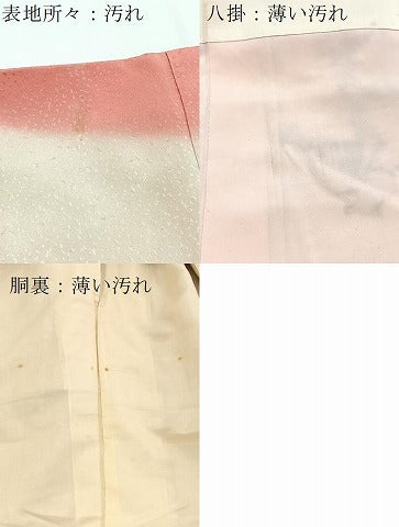 平和屋着物■訪問着 カトレア 暈し染め 銀彩 正絹 逸品 BAAY5524yc
