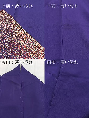 平和屋着物■訪問着 唐草文 金糸 正絹 逸品 BAAY5573yc