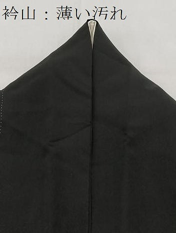 平和屋着物■豪華黒留袖 万葉の道 金彩 正絹 逸品 BAAY5670yc
