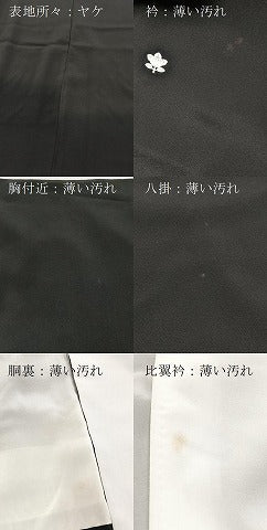 平和屋着物■豪華黒留袖 作家物 祇園祭 牡丹 金彩 正絹 逸品 BAAY5674yc