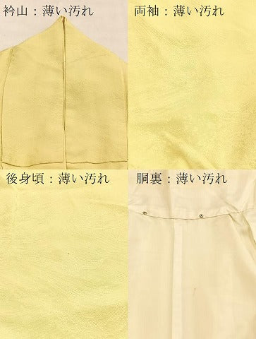 平和屋着物■上質な色無地 立波地紋 女郎花色 正絹 逸品 BAAY5758yc