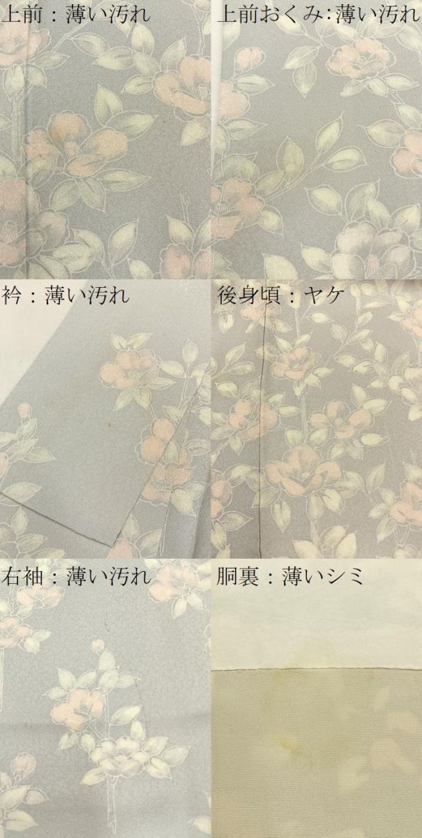 平和屋着物■訪問着 枝椿 正絹 逸品 BAAY6019hj