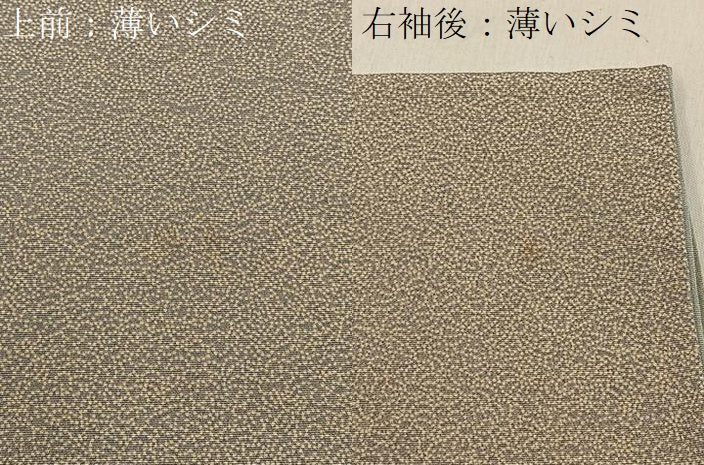 平和屋着物■江戸小紋 作家物 草花尽くし 正絹 逸品 BAAY6065hj