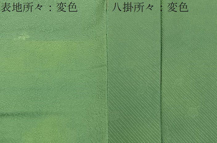 平和屋着物■世界的ファッションデザイナー 山本寛斎 kansaiブランド監修 色無地 花地紋 薄緑色 さが美扱い 正絹 逸品 BAAY6095hj
