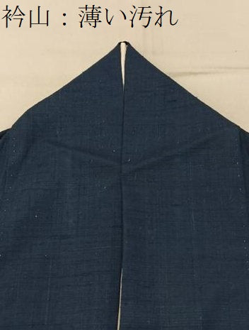 平和屋着物■上質な紬 色無地 褐返色 正絹 逸品 BAAY6098hj