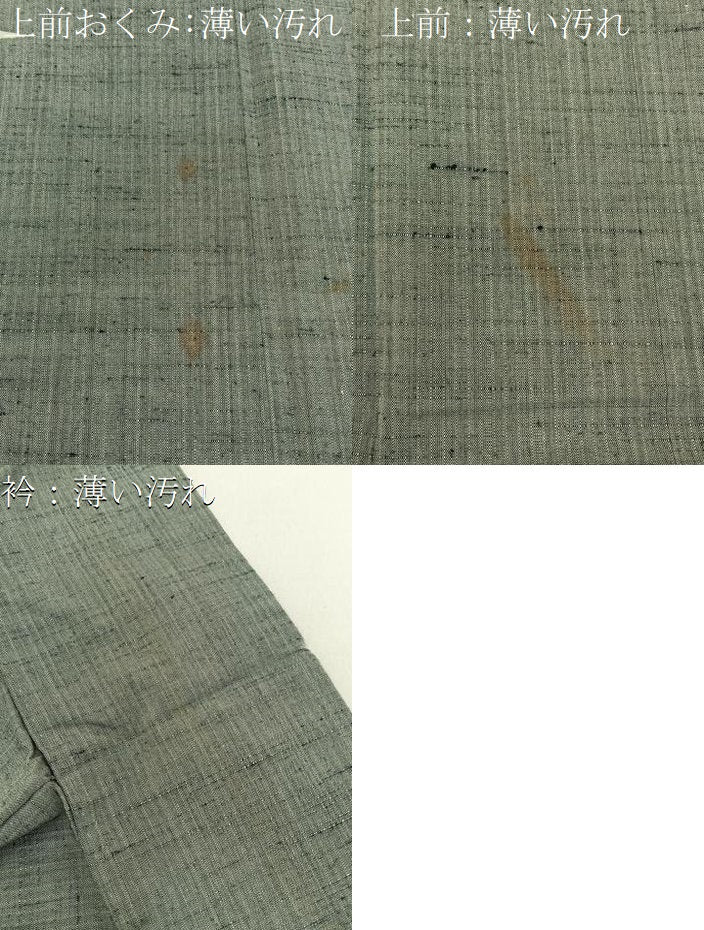 平和屋着物■上質な紬 胴抜き仕立て 霞文 正絹 逸品 BAAY6100hj