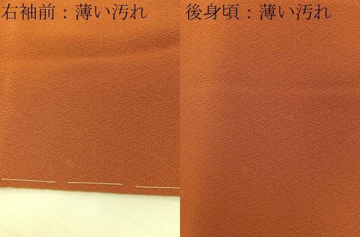 平和屋着物■無地絵羽訪問着 総刺繍 剣片喰文 代赭色 正絹 逸品 未使用 BAAY6230hj