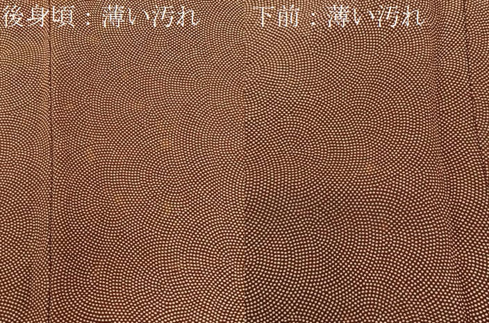 平和屋着物■江戸小紋 鮫小紋柄 正絹 逸品 BAAY6478hj