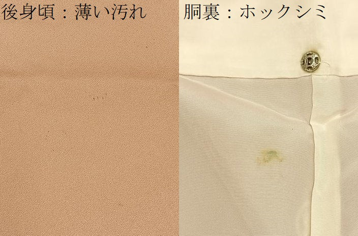 平和屋着物■豪華色留袖 駒刺繍 流水秋草文 暈し染め 金彩 正絹 逸品 BAAY6558hj