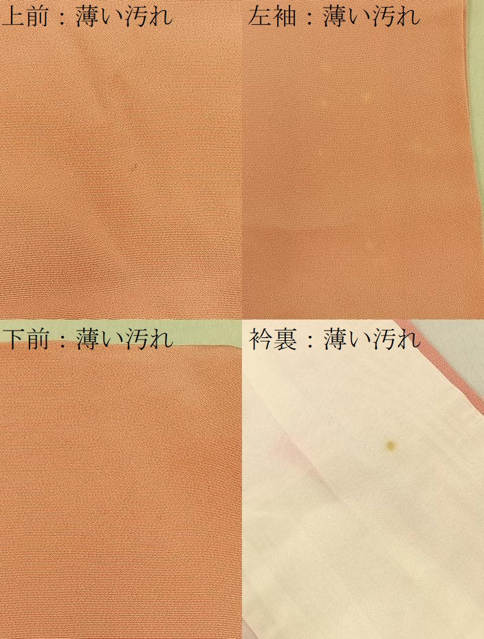 平和屋着物■豪華振袖 幾久重袖 鹿の子草花文 暈し染め 金銀彩 正絹 逸品 BAAY6567hj
