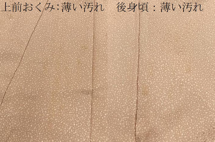 平和屋着物■江戸小紋 あられ文様 正絹 逸品 未使用 BAAY6778hj