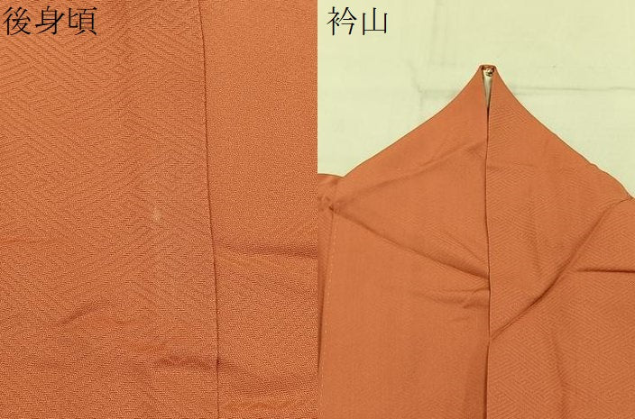 平和屋着物●訪問着 色紙花鳥文 暈し染め 金彩 三越扱い ロング丈 正絹 逸品 BAAY6912hj
