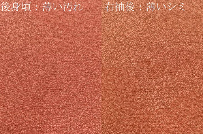 平和屋着物■江戸小紋 寄せ小紋柄 正絹 逸品 BAAY8084hj