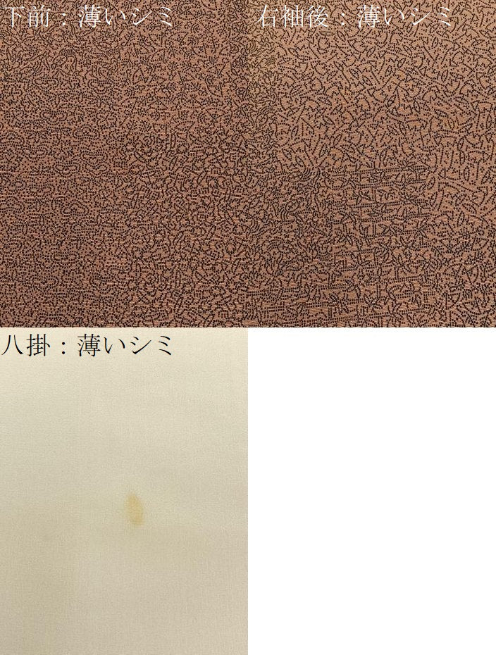 平和屋着物■江戸小紋 作家物 寄せ小紋柄 正絹 逸品 BAAY8184hj