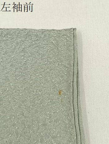 平和屋着物●本草木染作家 瑞寶 色無地 紋意匠 絹鼠色 正絹 逸品 BAAY8222hj