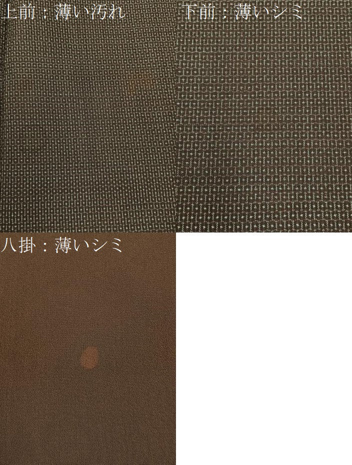 平和屋着物■男性 本場大島紬 100亀甲 総詰め 正絹 逸品 BAAY8359hj